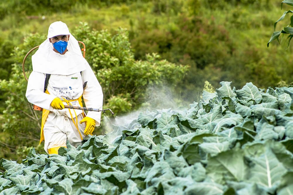 Programa de Prevenção de Riscos Ambientais. Agricultor aplicando agrotóxico em uma horta. PPRA, EPI